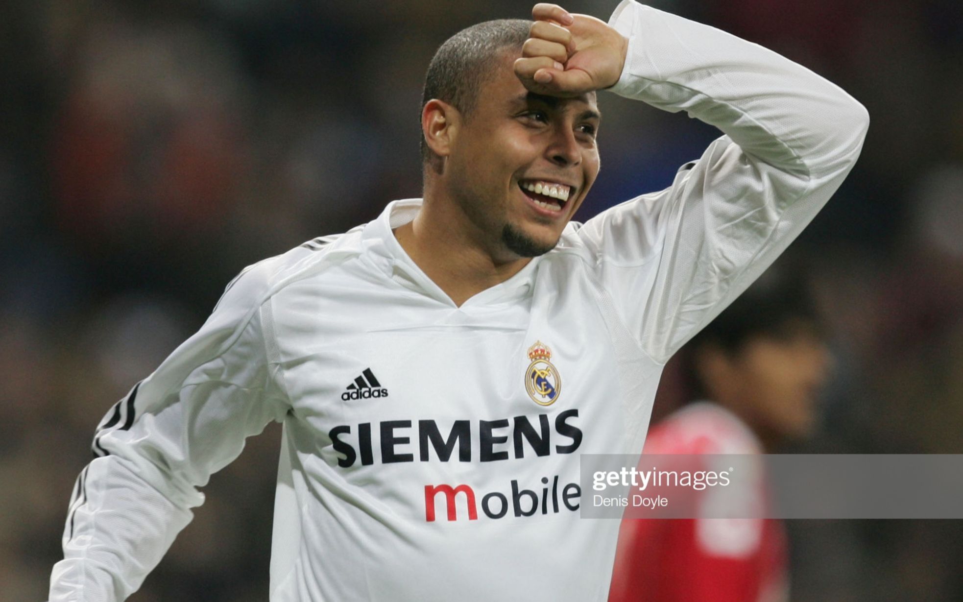 业者提供可 业者提供可