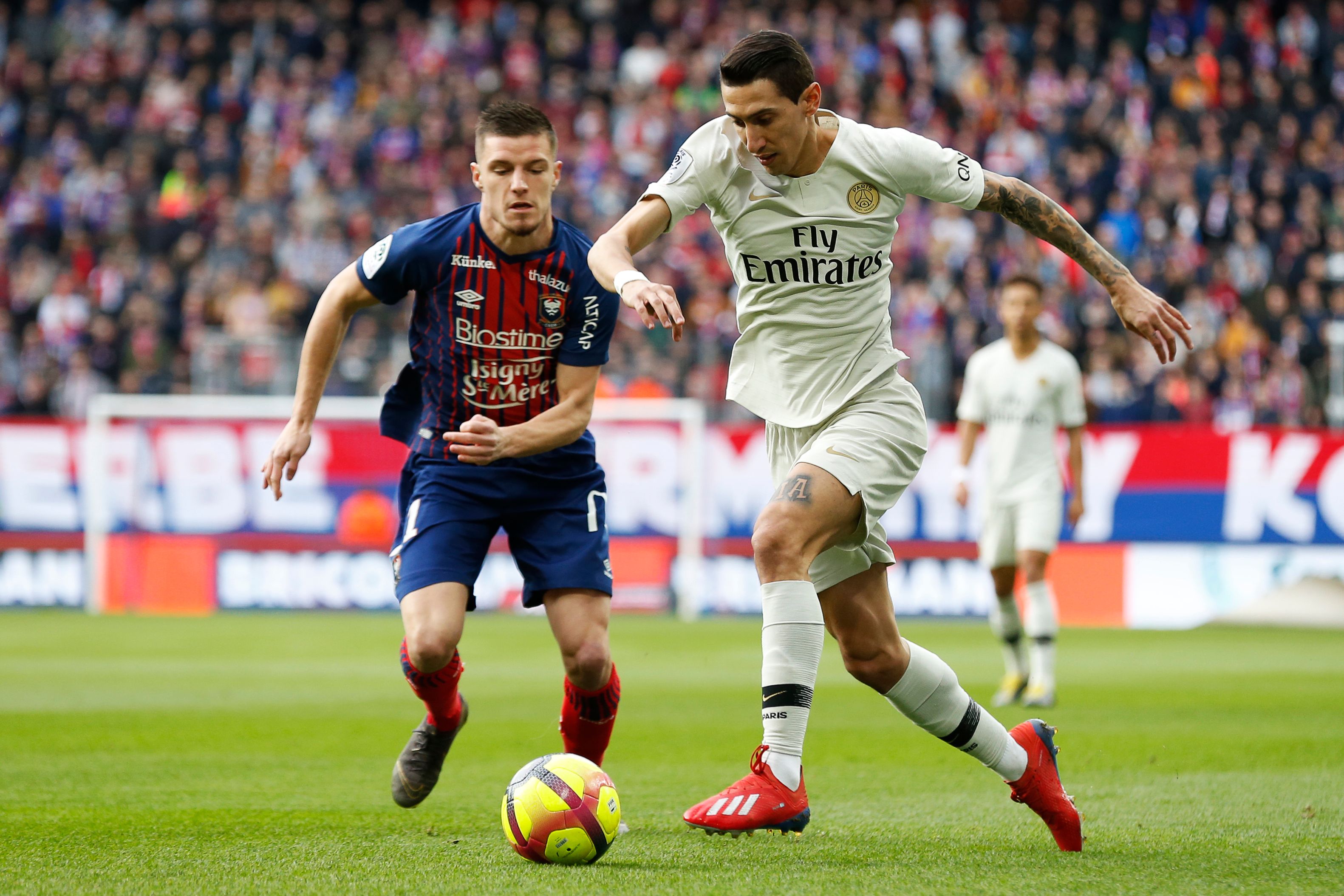 是将球探 是将球探